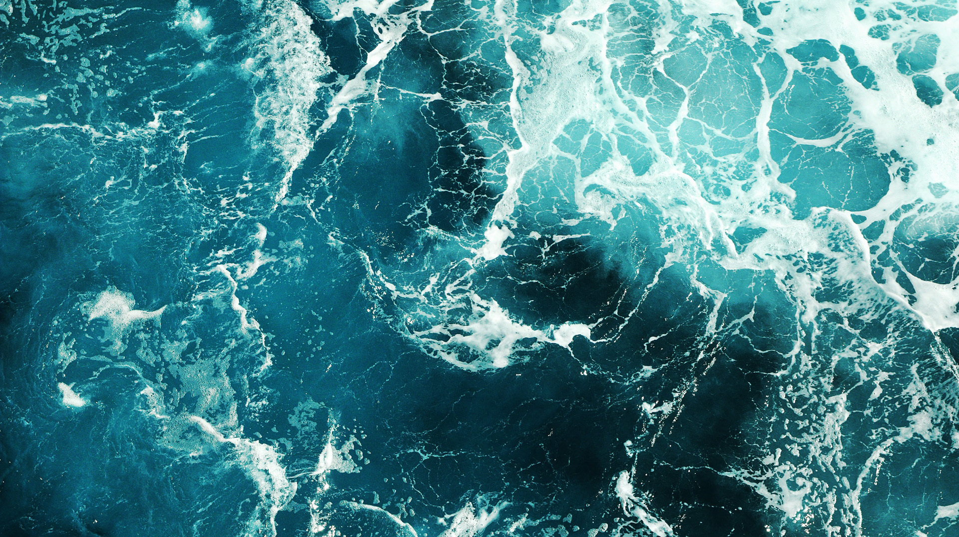 Sea hero